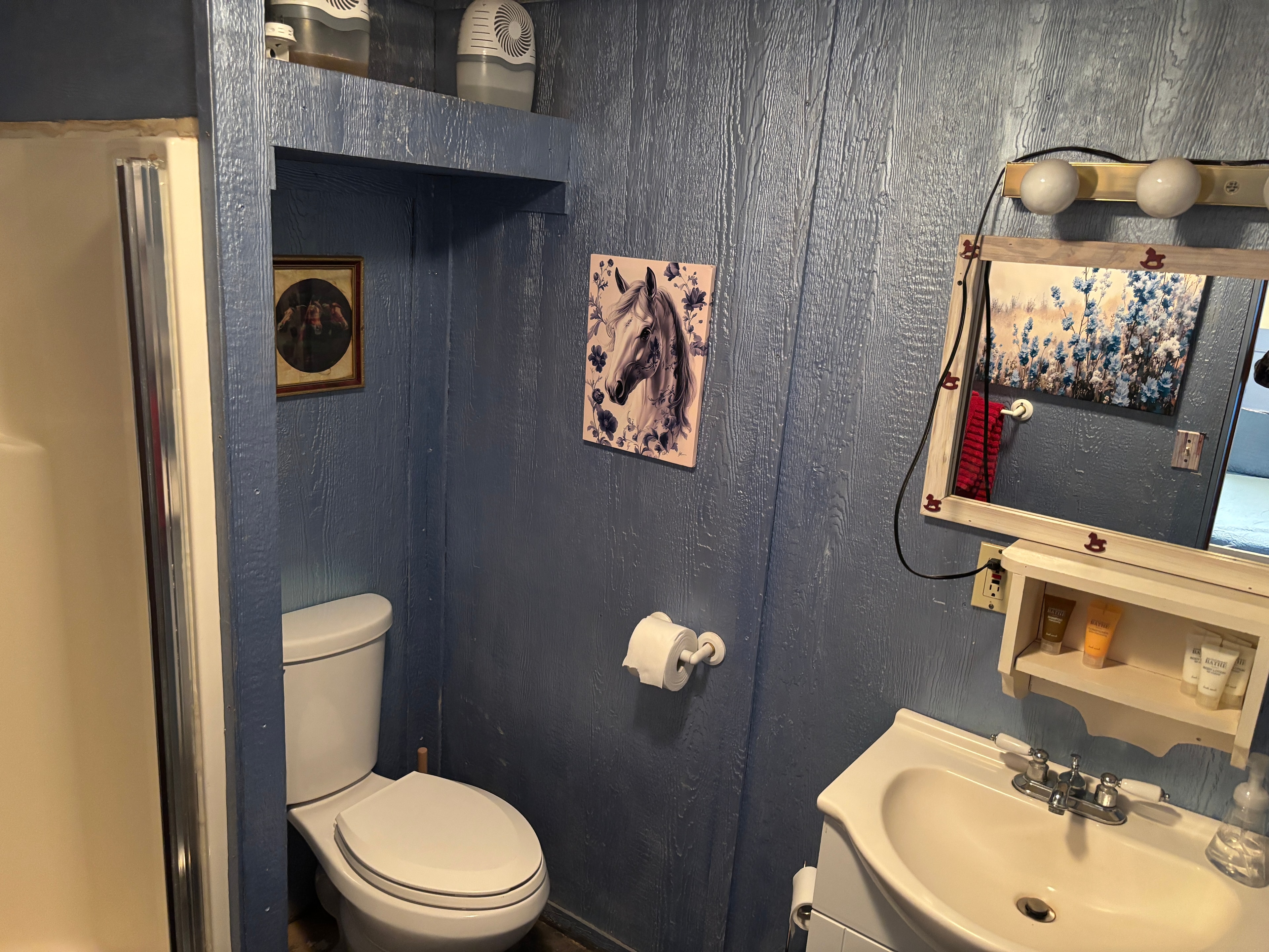 Guest bathroom with blue wood-panel walls and horse décor