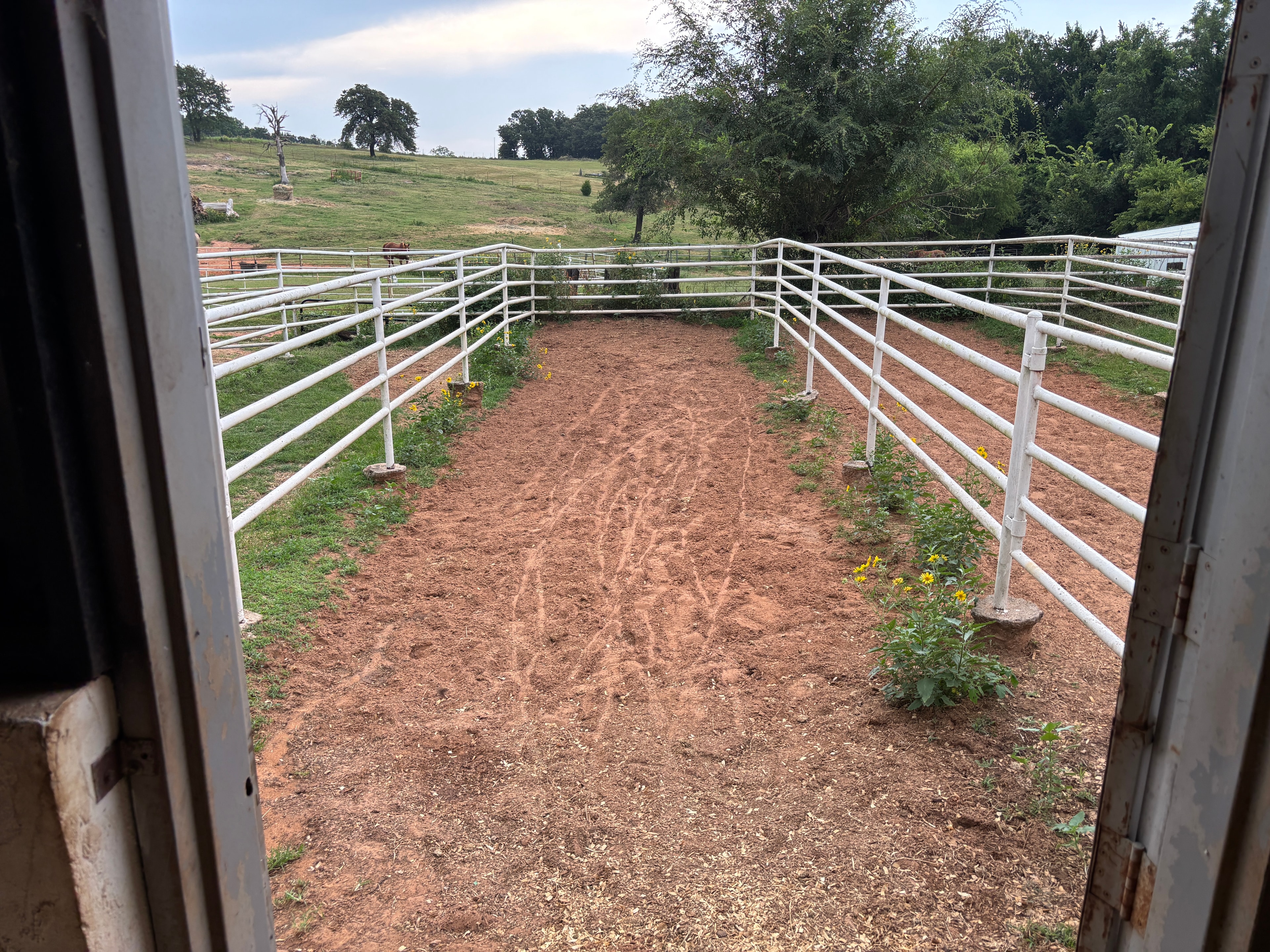 View from barn doors looking out over the white-fenced corral and green pasture