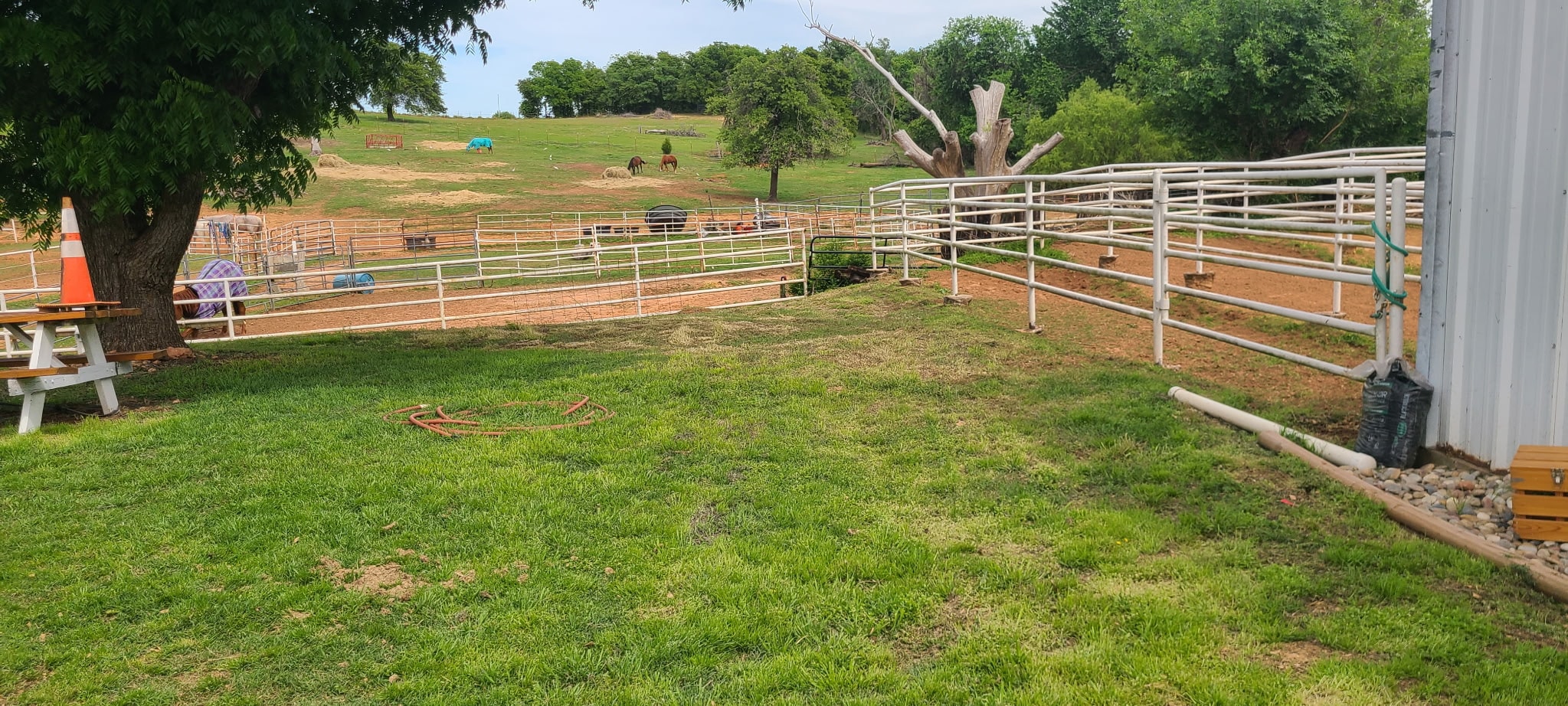 Ranch grounds with white pipe fencing, horses grazing on the hill, and picnic area